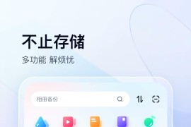 百度网盘/百度网盘国际版 v11.43.77+其他版/3.27.1_(363) 安卓绿化版