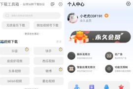 下载工具箱 v3.9.7 安卓绿化版